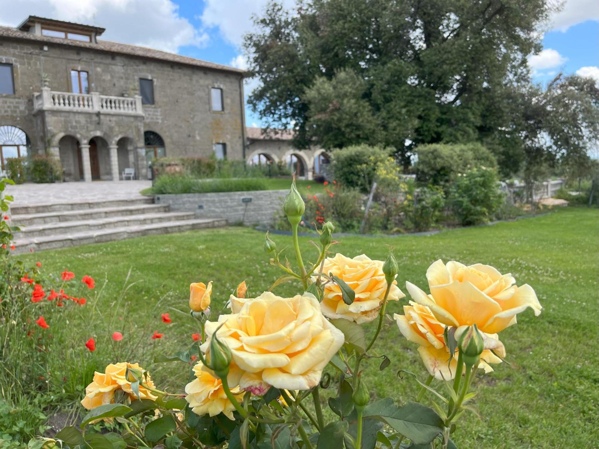Villa Paladini Montefiascone Eksteriør bilde