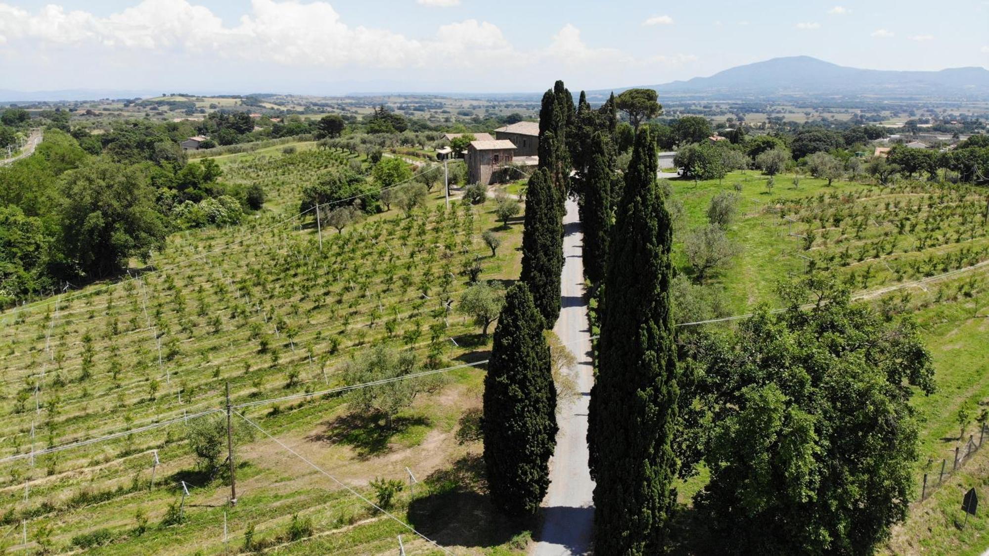Villa Paladini Montefiascone Eksteriør bilde