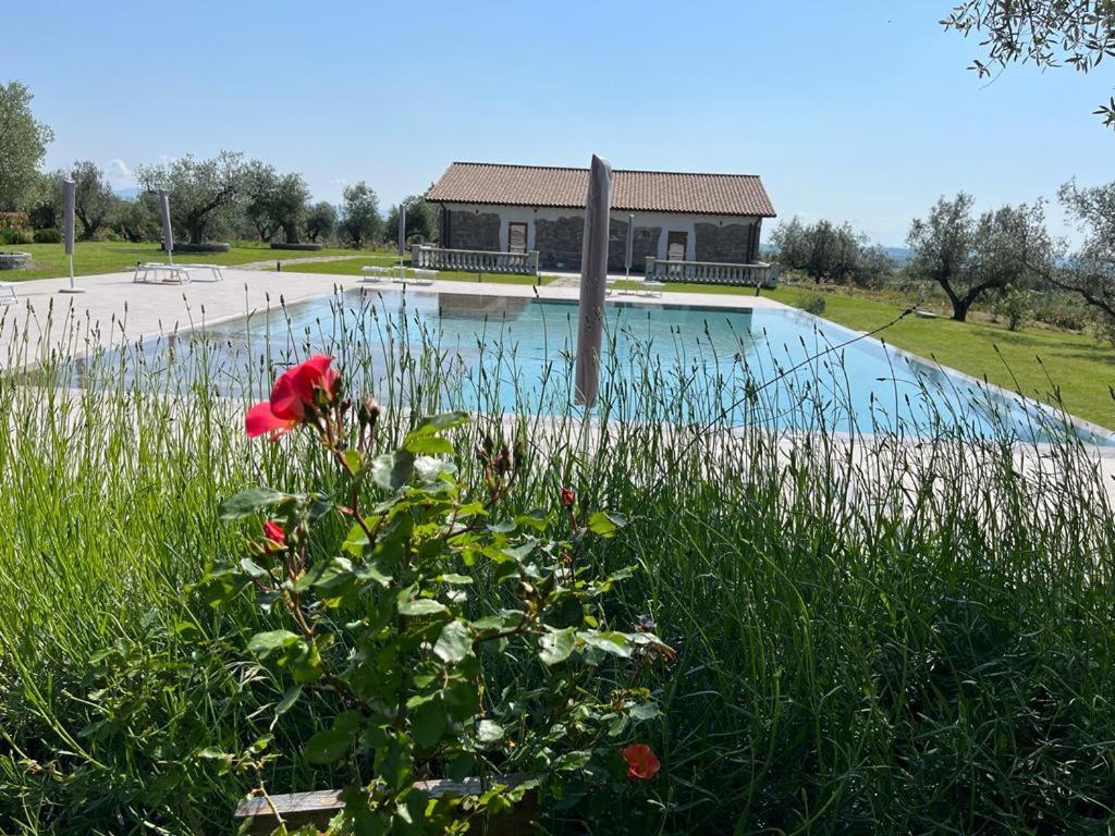 Villa Paladini Montefiascone Eksteriør bilde