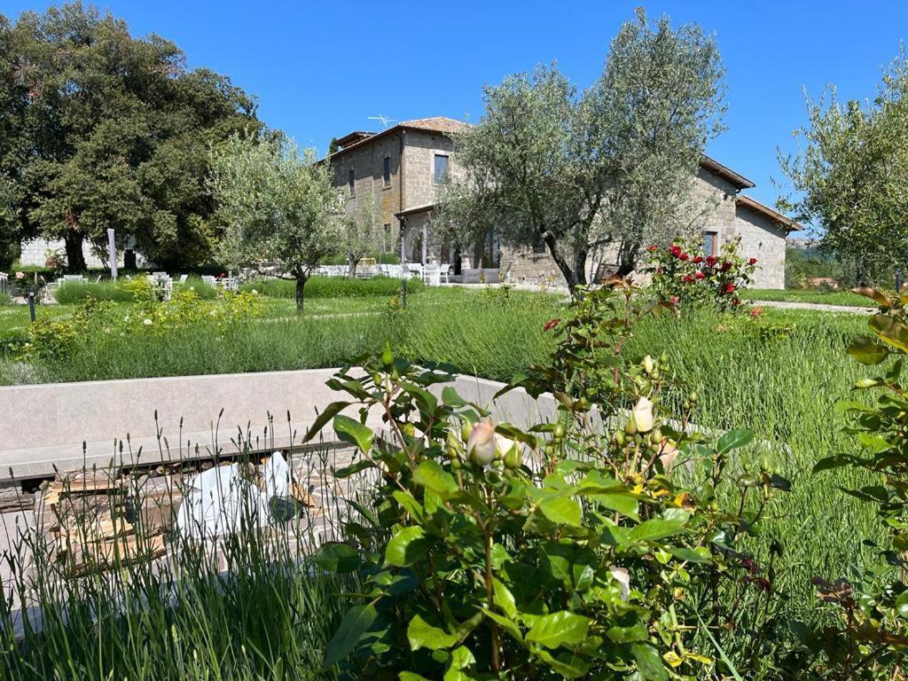 Villa Paladini Montefiascone Eksteriør bilde