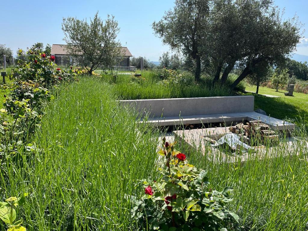 Villa Paladini Montefiascone Eksteriør bilde